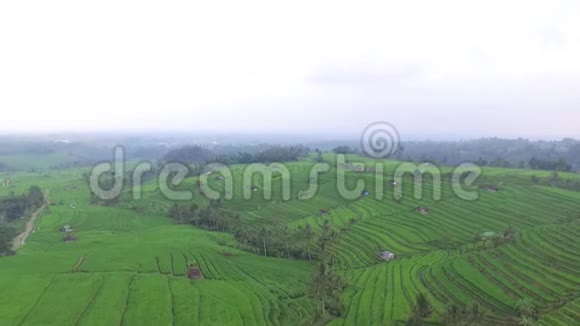 鸟瞰巴厘岛惊人的稻田视频的预览图