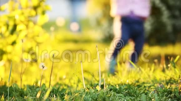 日落时分女婴在公园的草地上迈出第一步视频的预览图