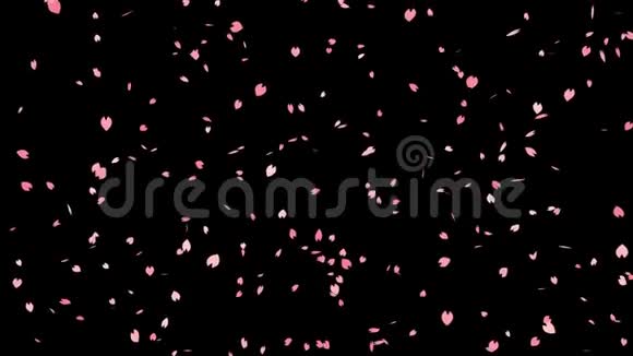 樱花落落与阿尔法环视频的预览图