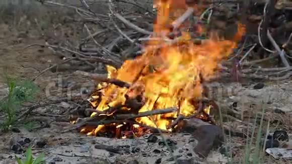 夏天在湖岸上用灌木丛做的小篝火视频的预览图