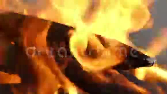 令人印象深刻的篝火烧烤在夏天视频的预览图