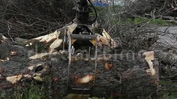 一只金属手抓住一根木头把它带到了一辆在斯洛莫的卡车上视频的预览图