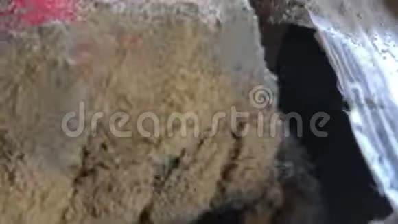 一只雄性手用铲子从撕裂的袋子里取出水泥视频的预览图