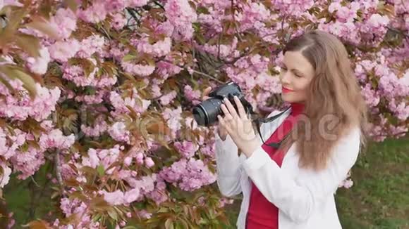 美丽的女孩游客拍照樱花树春粉花视频的预览图