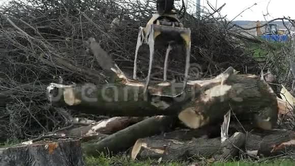 一只金属鹤臂缓慢地抓着河岸上的原木视频的预览图
