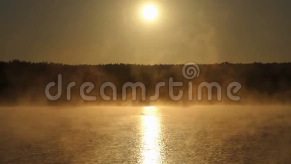 年轻人在一个朦胧的金色湖泊里游泳视频的预览图