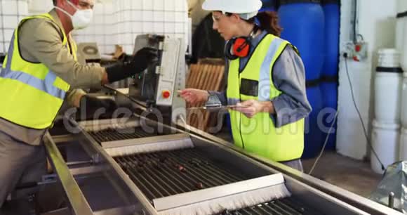 工厂工人在机器上检查橄榄视频的预览图