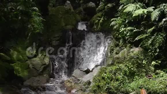 泰国萨梅岛森林中的塔尔坦瀑布视频的预览图
