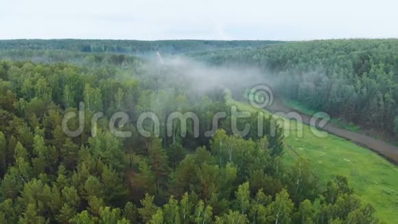 无人机在森林和河谷上空拍摄晨雾视频的预览图
