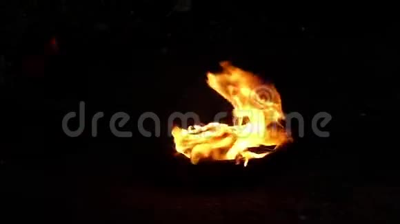 一团火焰从一个碗里点燃在一片森林深处在深夜的浅沼中视频的预览图