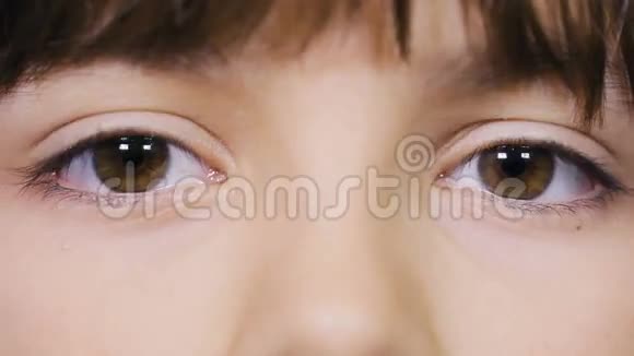 漂亮女孩的眼睛人的眼睛视频的预览图
