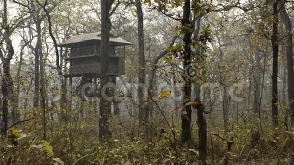 尼泊尔亚热带森林视频的预览图