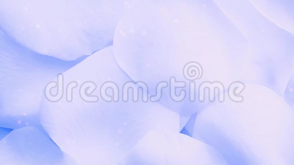 蓝色玫瑰花瓣背景视频的预览图