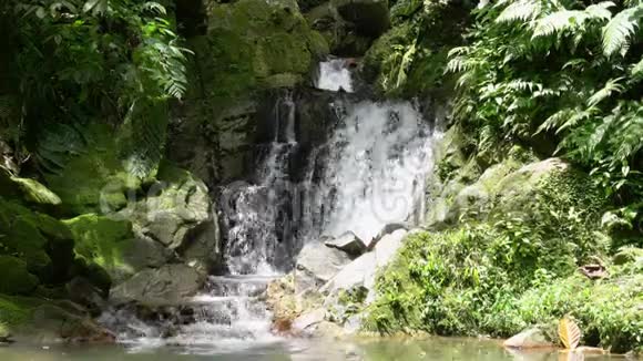泰国萨梅岛森林中的塔尔坦瀑布视频的预览图