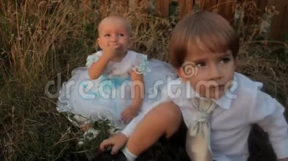 一个小女孩坐在高高的草地上穿着白色的裙子吃着杏子一个小男孩坐在她旁边放着纸视频的预览图