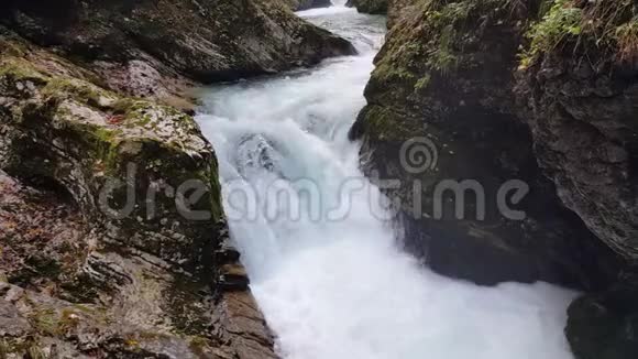 瀑布动力与白水视频的预览图