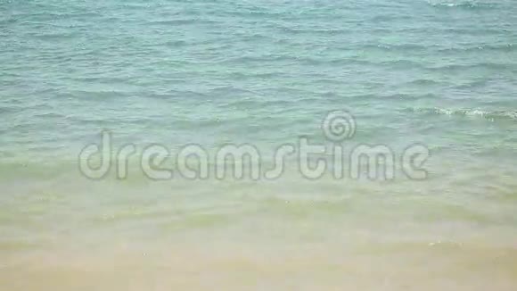 美丽甜蜜的海浪的海岸视频的预览图
