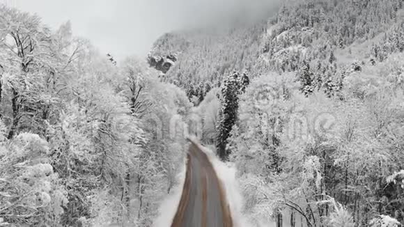 阴天冬季森林中道路的鸟瞰图一条美丽的冬季道路在云杉和松树的大自然中视频的预览图