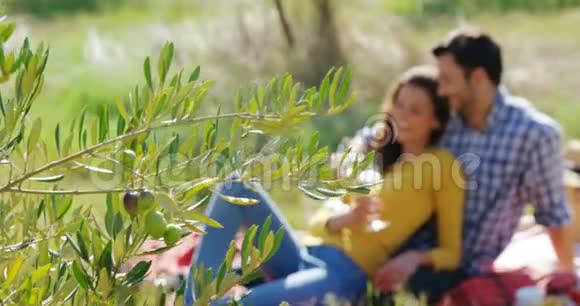 浪漫情侣在橄榄农场喝一杯葡萄酒视频的预览图