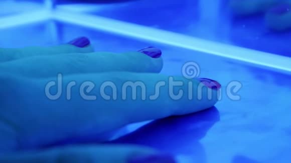 在美容院用一只雌性手将指甲油固定在一盏紫外线灯管上视频的预览图