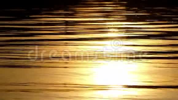 在美丽的夕阳下金色的湖水视频的预览图
