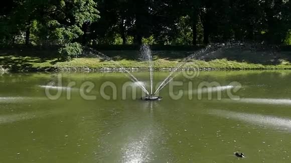 一个喷泉长流在夏天的一个湖里在斯洛文尼亚视频的预览图