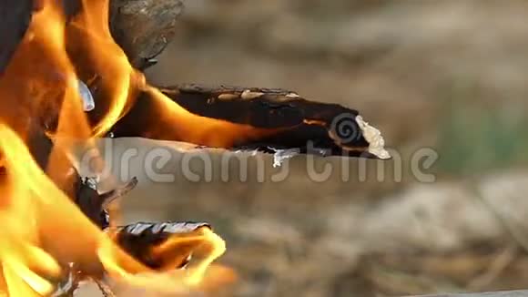 一条长着龙的树枝在篝火上缓慢地燃烧视频的预览图