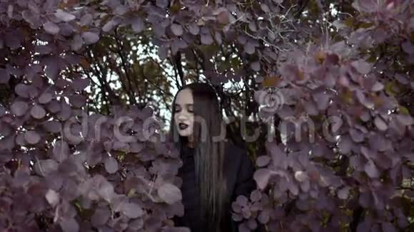 一个年轻的女人站在高高的灌木丛中看着相机视频的预览图