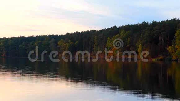 秋天的树在水面上视频的预览图