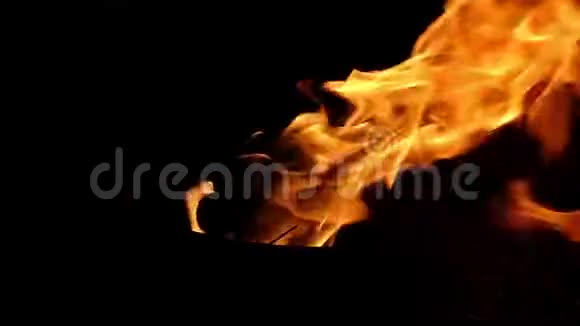 火焰从一个黑色的金属碗中升起它站在松松林中的草坪上视频的预览图
