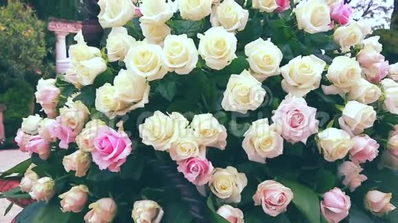 白色和粉红色玫瑰花束视频的预览图