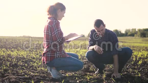 智能生态农业团队使用现代技术在农业慢动作视频农民男女在视频的预览图