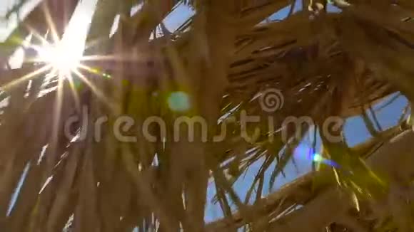 太阳的光线穿过阳伞高清高清视频的预览图