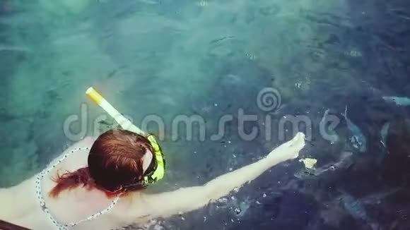 穿比基尼的年轻女人在面具上浮潜用一块面包在海里喂鱼慢动作1920x1080视频的预览图