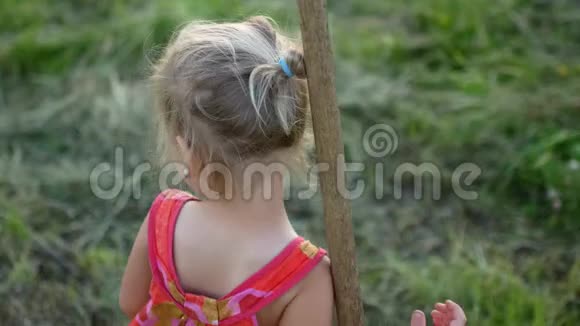 夏日里快乐的小女孩在乡下打耙视频的预览图