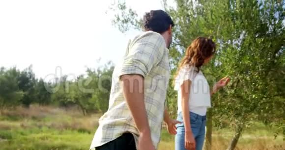 快乐的一对情侣在橄榄农场玩4k视频的预览图
