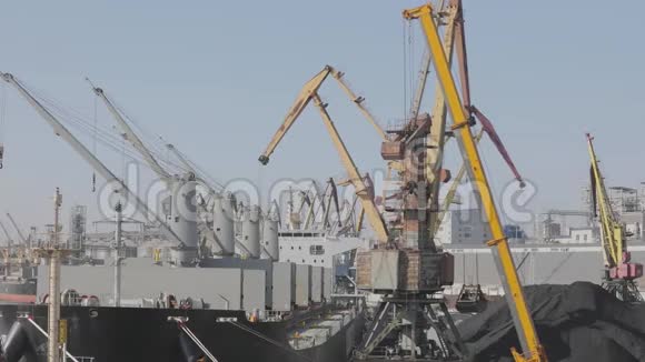 较大的起重机在港口起重机装载散装材料海港起重机的工作视频的预览图