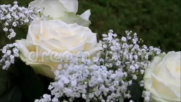 奶油色玫瑰花束视频的预览图