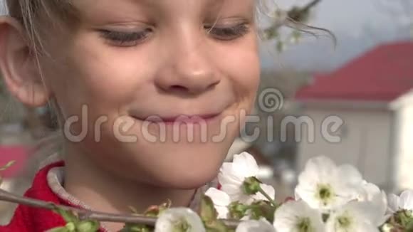 女孩和鲜花樱桃视频的预览图