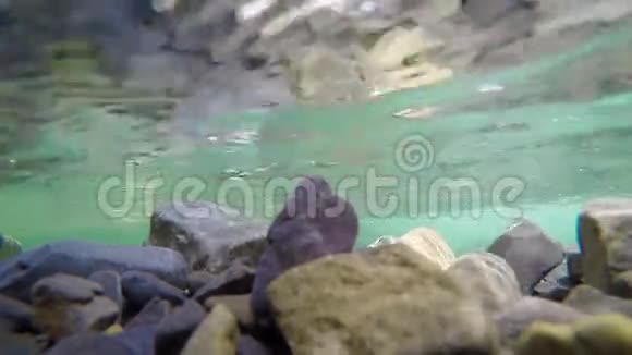 岩石池塘水下缓慢运动视频的预览图