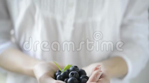 新鲜的蓝莓水果视频的预览图