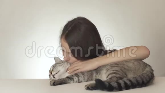 美丽的少女亲吻和拥抱她心爱的猫泰国品种的白色背景股票视频视频的预览图