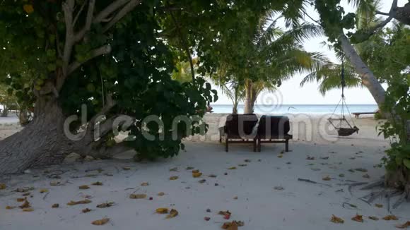 热带海滩棕榈树下的木制躺椅马尔代夫视频的预览图