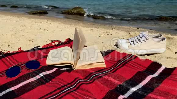 打开书躺在阳光明媚的沙滩上的格子呢上视频的预览图