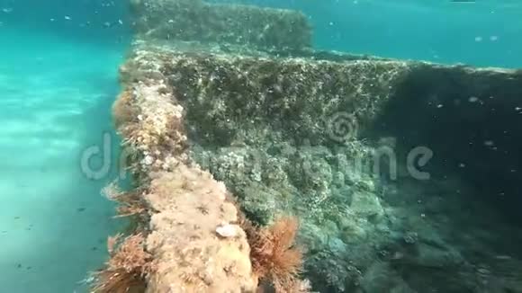 撒丁岛海岸废墟海底景观鱼在缓慢运动视频的预览图