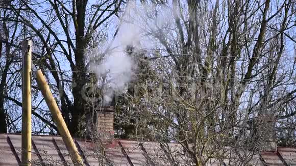 从乡下人家的烟囱里冒出来的烟森林里有金属屋顶视频的预览图