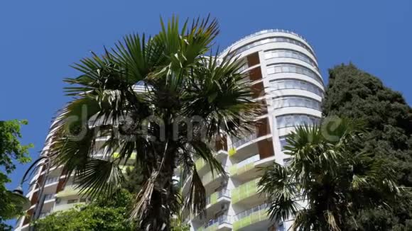 现代多层酒店和蓝天棕榈树视频的预览图