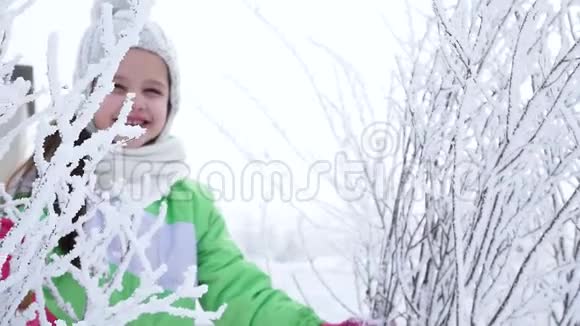 女孩在森林里抖树枝上的雪快乐的童年冬季乐趣视频的预览图