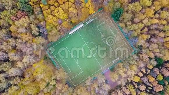 足球场环绕着秋天的黄色森林视频的预览图