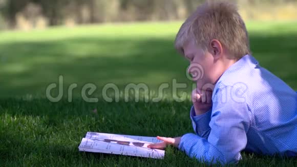 男孩在户外看书视频的预览图